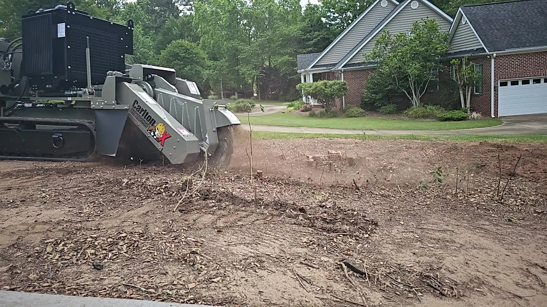 Stump Grinding Professional Background